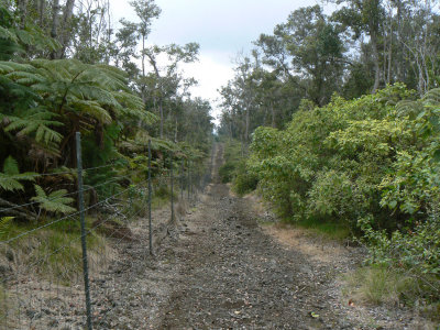 Fenceline, Kona Hema