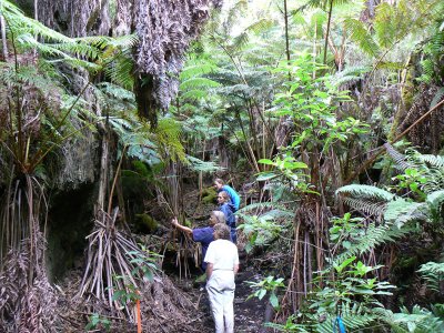 Ravine trail