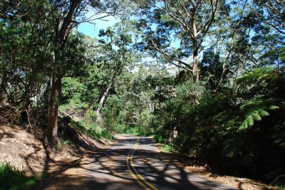 March 6, 2010 - Mauna Loa Strip Road