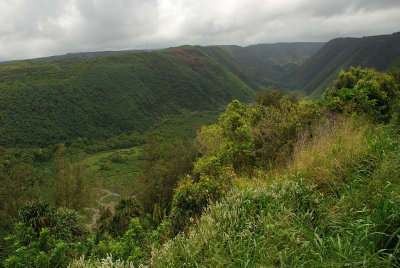 Roadside North Kohala