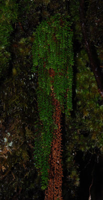 g6/06/685506/3/90304925.syulCHGI.jpg