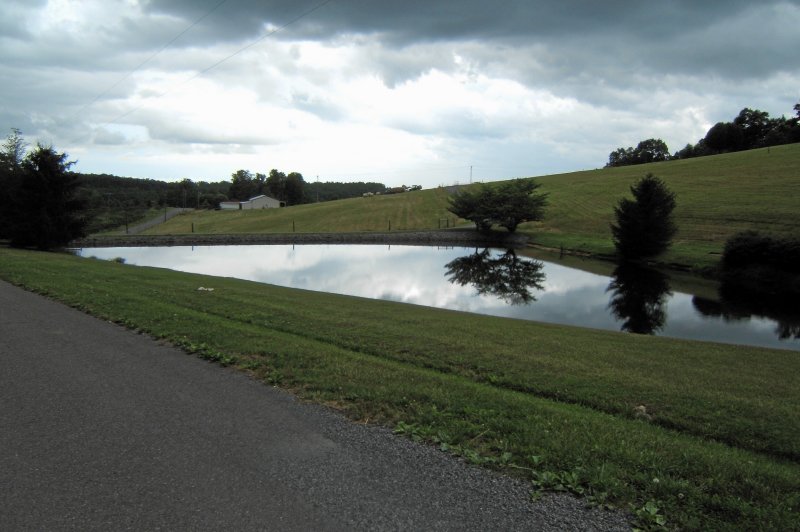 Bring your thoughts here!
