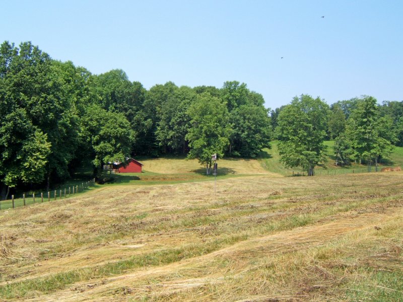  ~    HAY FIELD ~~