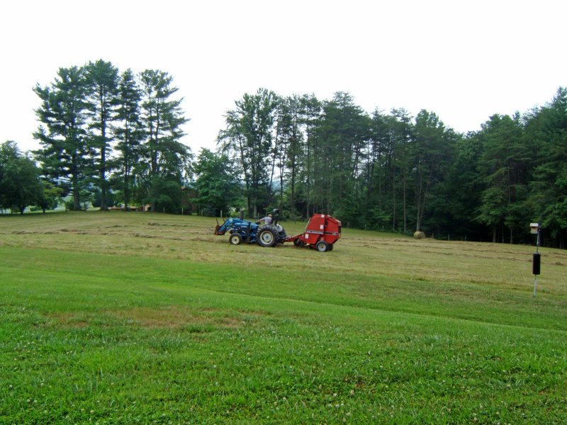 Beautiful Mount Airy