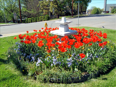 come tiptoe through the tulips with us