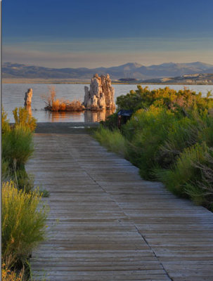 walkway to wonderland