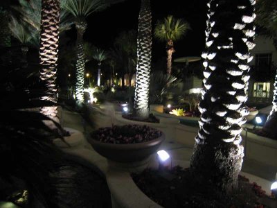 IMG_0733.jpg