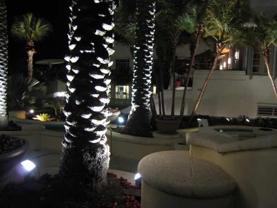 IMG_0734.jpg