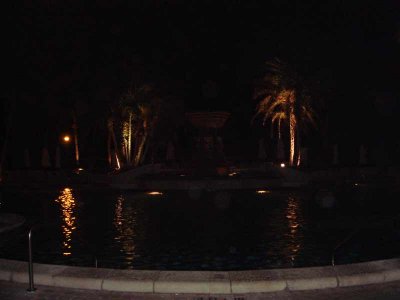 DSC02937.jpg