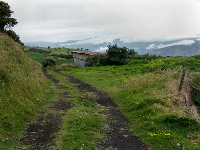 Iraz High Mountain Farm