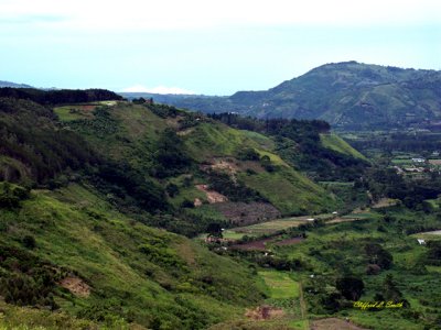 Orosi Valley