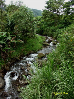 Valley Stream