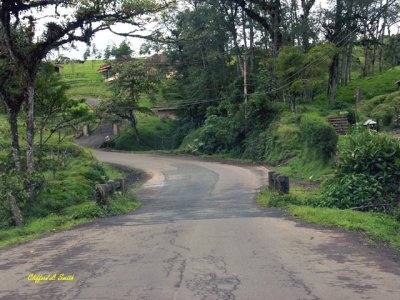 High Country Road