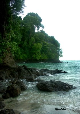 Secluded Cove