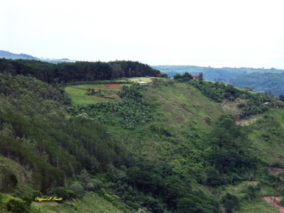 Orosi Hillside Farm