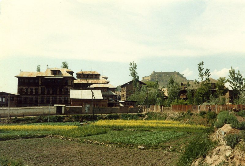 Fields and fort - Rainawari, near Bamboos house
