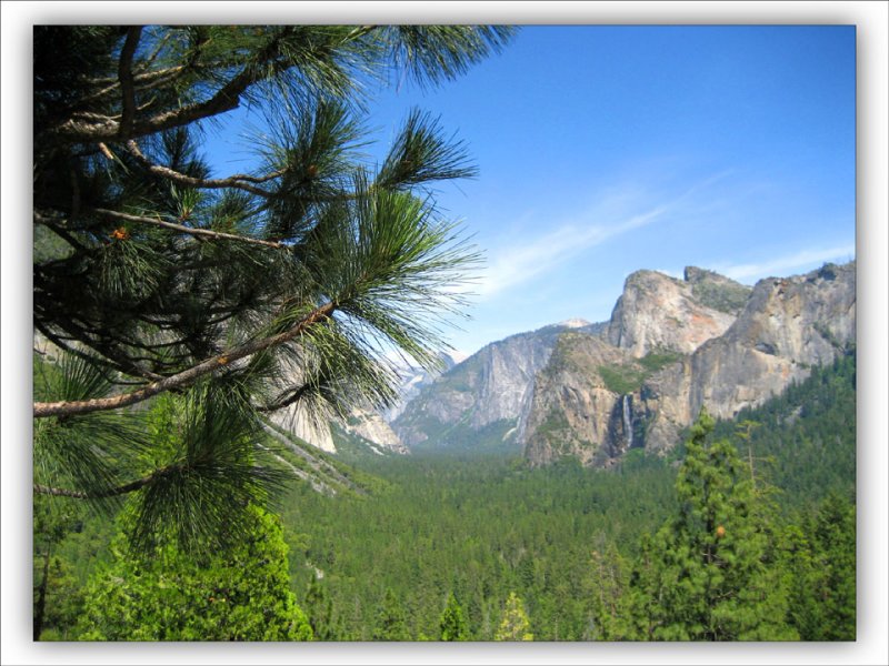 Yosemite Valley view