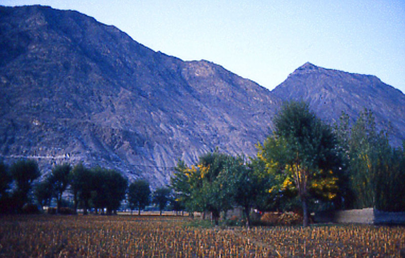Gilgit fields