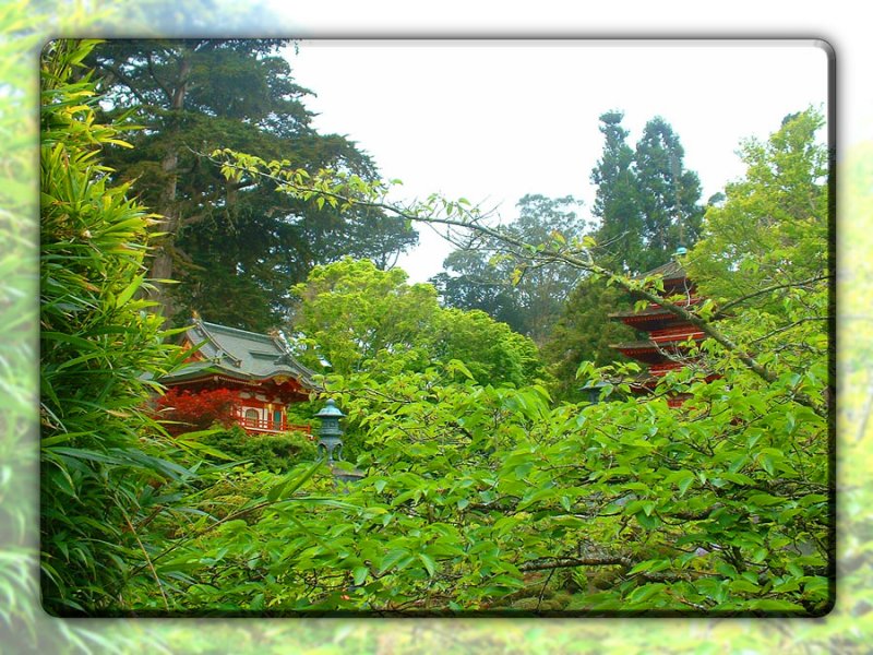 Japanese Tea Garden