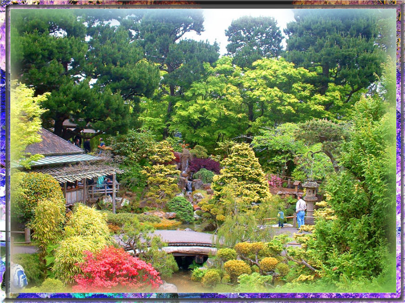 Japanese Tea Garden