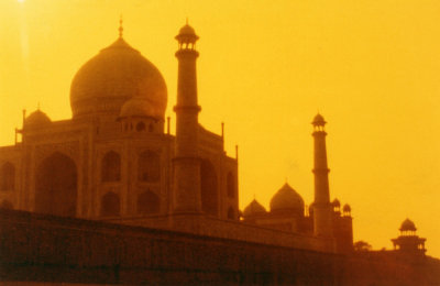 Orange Taj