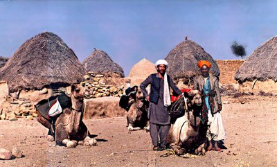 In desert with camels