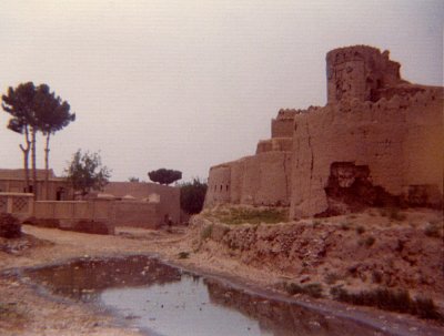Bala Hisar and pool