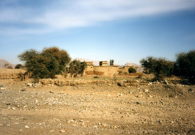 Fort and trees-FATA