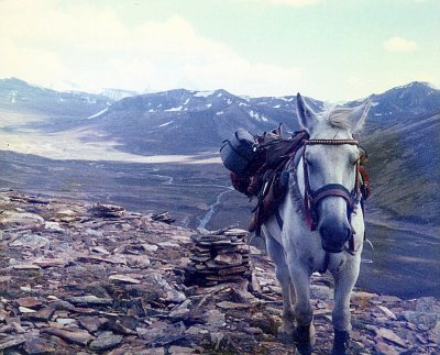 Hercules on Babu Sar