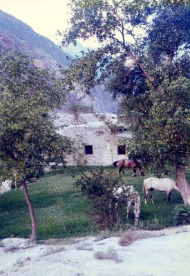 Julipur, Kohistan