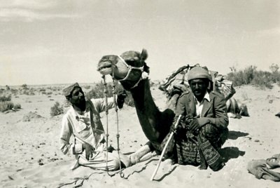 Camel men in desert