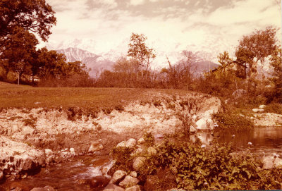 Kangra Valley-Himachal Pradesh
