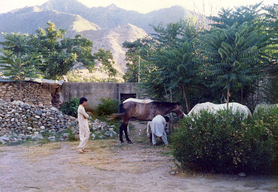 A dry dinner