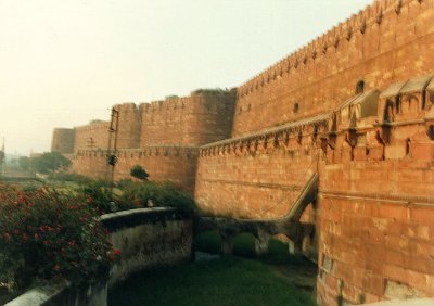 Side wall of Agra Fort