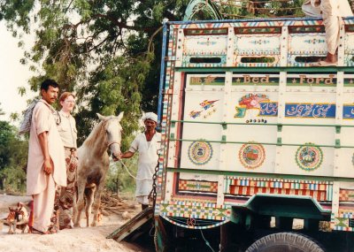 Loading the horses