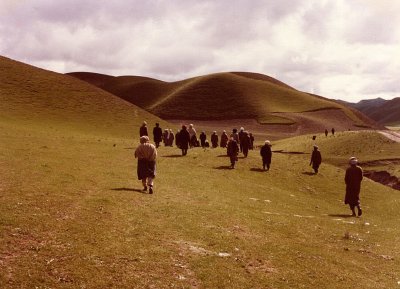 Turkestan - rolling green hills