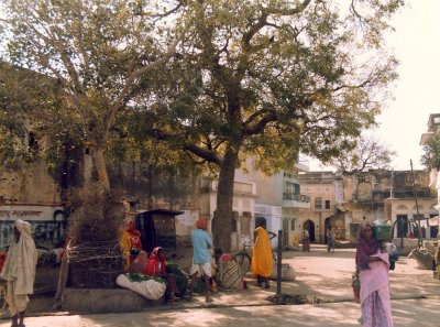 Pushkar