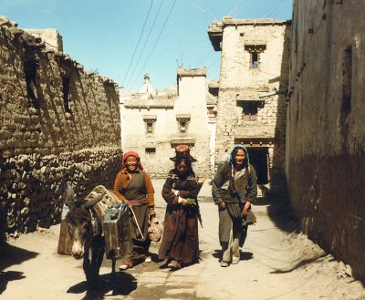 Leh - 3 ladies and a donkey