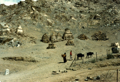 Stupas north of Leh