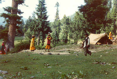 Rajestani camp
