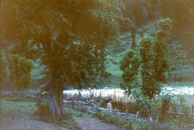 Road side at dusk