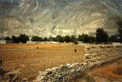 Fields behind main bazaar
