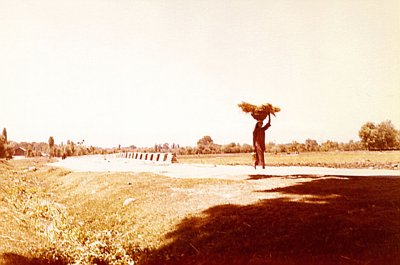 Woman carrying straw