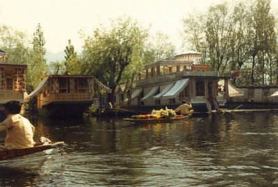 Flower chikara and houseboats