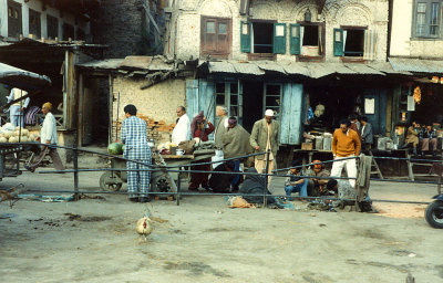 Bazaar - Dal Gate
