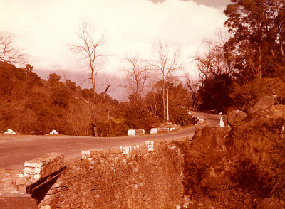 Kangra roadside