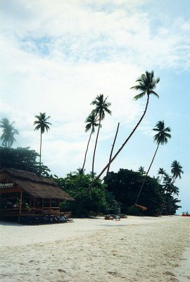 Koh Samui (Click to see gallery)