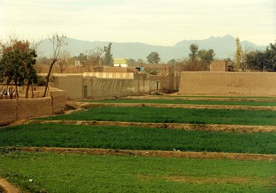 87-Takhal-house back fields.jpg