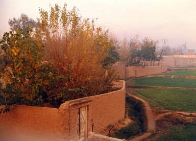 87-Takhal-neighbors walls.jpg