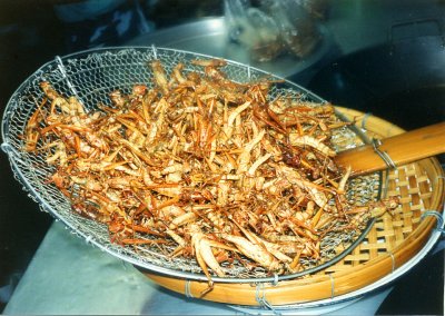 Fried Grasshoppers